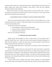 Muitai ir tarptautinė prekyba 3 puslapis