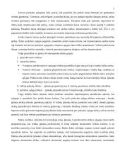 Muitai ir tarptautinė prekyba 5 puslapis