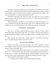 Muitai ir tarptautinė prekyba 8 puslapis