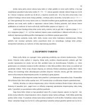 Muitai ir tarptautinė prekyba 10 puslapis