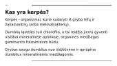 Kerpės Lietuvoje 2 puslapis