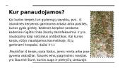 Kerpės Lietuvoje 3 puslapis