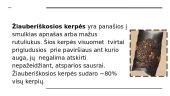 Kerpės Lietuvoje 6 puslapis
