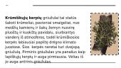 Kerpės Lietuvoje 8 puslapis