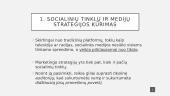 Socialinių tinklų gidas verslui 2 puslapis