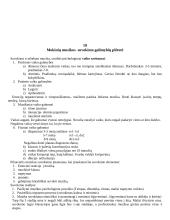 Muzikinio ugdymo metodika 8 puslapis