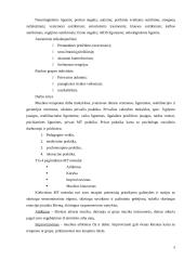 Muzikos terapija 5 puslapis