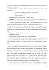 Muzikos terapija 7 puslapis