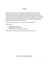 Ekonominių sankcijų poveikis šalių ekonomikoms 2 puslapis