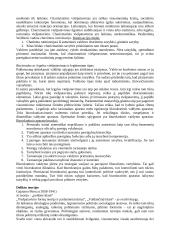 Naujoji politologija 2 puslapis