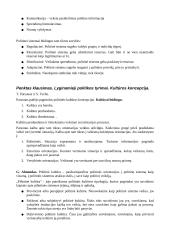 Naujoji politologija 11 puslapis