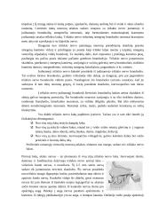 Trišakis nervas 3 puslapis