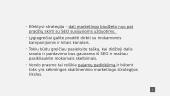 Skaitmeninio marketingo strategijos kūrimas 19 puslapis