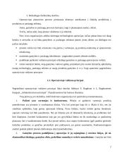 Operatyvusis planavimas 2 puslapis