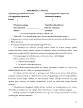Operatyvusis planavimas 12 puslapis