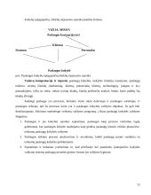 Operatyvusis planavimas 13 puslapis