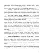 Operatyvusis planavimas 3 puslapis