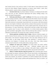 Operatyvusis planavimas 4 puslapis