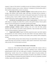 Operatyvusis planavimas 5 puslapis