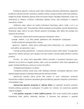 Operatyvusis planavimas 6 puslapis