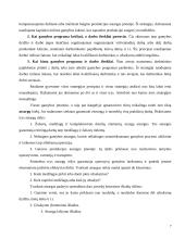 Operatyvusis planavimas 7 puslapis