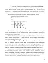 Operatyvusis planavimas 8 puslapis
