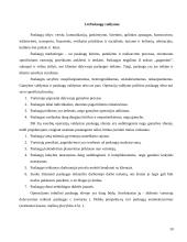 Operatyvusis planavimas 10 puslapis