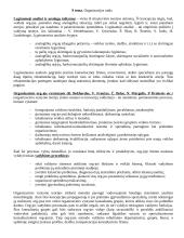 Organizacijos raida