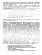 Organizacijos raida 2 puslapis