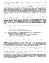 Organizacijos raida 3 puslapis