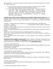 Organizacijos raida 4 puslapis