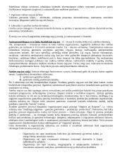 Organizacijos raida 5 puslapis