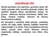 Emigracija XIX a. 7 puslapis