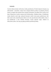 Elektromobilio variklio projektavimas (praktinis darbas) 2 puslapis