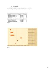 Elektromobilio variklio projektavimas (praktinis darbas) 4 puslapis