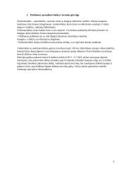 Elektromobilio variklio projektavimas (praktinis darbas) 5 puslapis