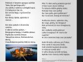 "Trakų pilis" analizė 2 puslapis