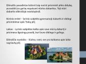 "Trakų pilis" analizė 3 puslapis