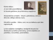 "Trakų pilis" analizė 4 puslapis