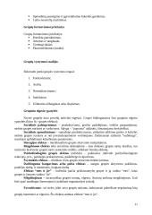 Organizacinės elgsenos teorija 11 puslapis