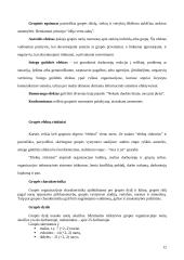 Organizacinės elgsenos teorija 12 puslapis