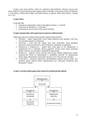 Organizacinės elgsenos teorija 13 puslapis