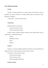 Organizacinės elgsenos teorija 4 puslapis