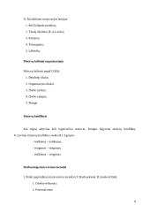 Organizacinės elgsenos teorija 8 puslapis