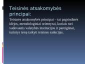 Teisinės atsakomybės pagrindai ir principai 11 puslapis