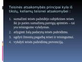 Teisinės atsakomybės pagrindai ir principai 12 puslapis
