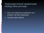 Teisinės atsakomybės pagrindai ir principai 13 puslapis
