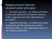Teisinės atsakomybės pagrindai ir principai 14 puslapis