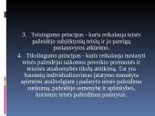 Teisinės atsakomybės pagrindai ir principai 15 puslapis