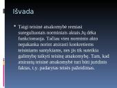 Teisinės atsakomybės pagrindai ir principai 17 puslapis